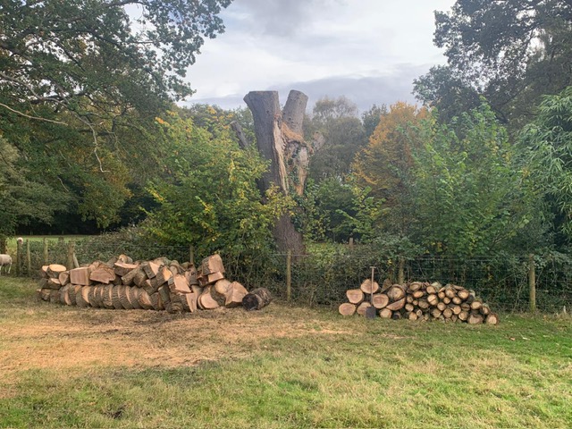 Logs